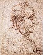 LEONARDO da Vinci Profile of an old man oil on canvas